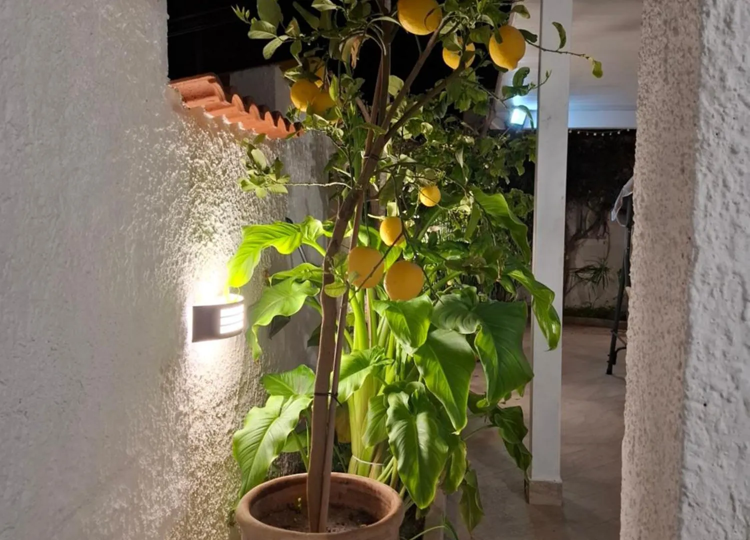 Villa Toluammare Sicily Santa Maria del Focallo