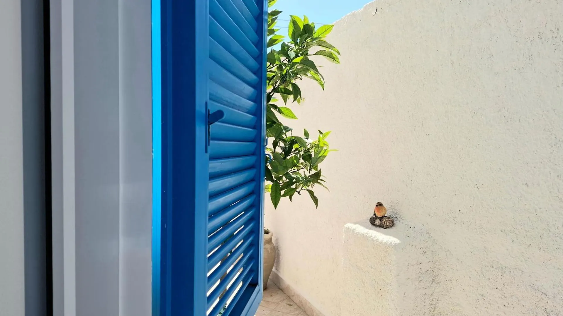 Casa vacanze Villa Toluammare Sicily Santa Maria del Focallo